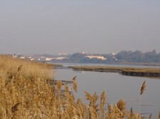 Câmara Municipal do Barreiro Aprova Criação da Reserva Natural Local do Sapal do Rio Coina e Mata Nacional da Machada
