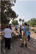 Comemorações no Seixal do Dia da Árvore e Dia Mundial da Floresta iniciativas dirigidas à comunidade escolar e ao público em geral