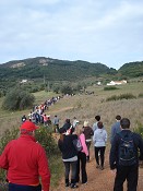 Mais de duas centenas e meia de pessoas em Setúbal Fazem sucesso crescente....do «São Julião a Caminhar»