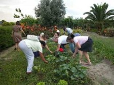 No concelho da Moita Mini-Curso de Tempos Livres “Mãos à Horta” com inscrições abertas