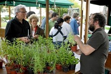 Mostra de Projetos e Produtos Biológicos na Moita Frutas e legumes biológicos em destaque na 8ª Biofesta