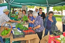 No Jardim do Quebedo em Setúbal Mercado Agrobio a partir de hoje todas as quintas-feiras à tarde