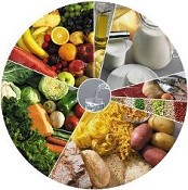 Câmara da Moita promove Workshop sobre Alimentação Saudável