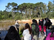 Reserva o Sábado A vida secreta do lago da Mata da Machada