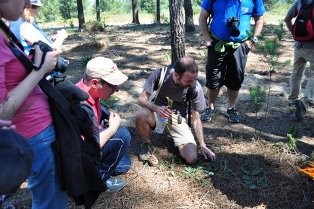 Barreiro - ‘RESERVA O SÁBADO’ Três dezenas descobrem a Flora e Vegetação