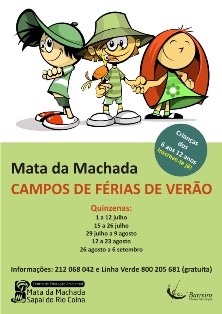 Mata da Machada - Barreiro CAMPOS DE FÉRIAS verão 2013