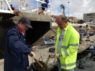 Ação de limpeza da Doca de Pesca em Setúbal Pretendeu sensibilizar cidadãos