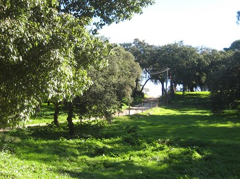 Reserva Natural do Sapal do Rio Coina e Mata da Machada - Barreiro Assembleia Municipal elegeu representantes para Conselho Consultivo