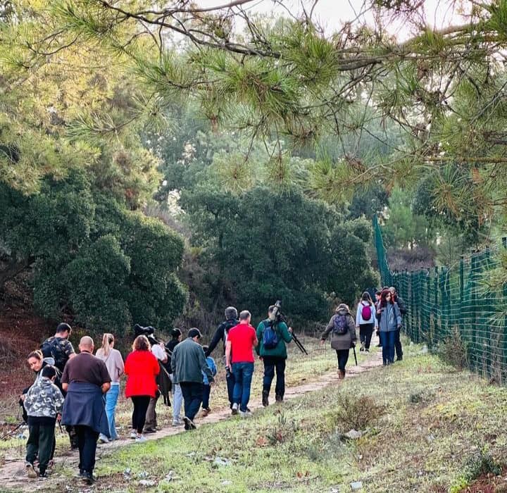 BARREIRO - Centro de Educação Ambiental Atividade de Birdwatching decorreu esta manhã no Sapal do Rio Coina