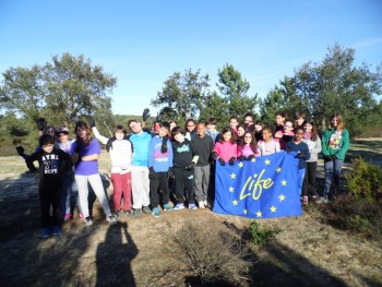 Barreiro - Centro de Educação Ambiental da Mata da Machada e Sapal do Coina Manhãs Biodiscoveries