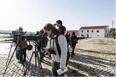 Dia Internacional das Zonas Húmidas no Seixal Oficina de Observação de Aves dia 3 de fevereiro