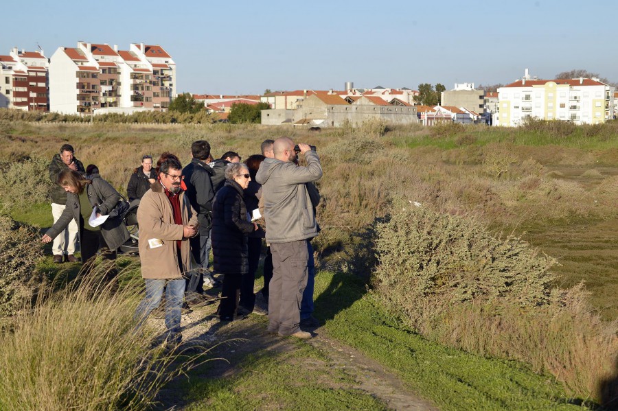 Observatório de Aves da Quinta do Saldanha no Montijo Projeto VEM assinala 1.º aniversário