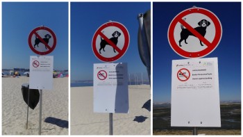 Monitorização da qualidade da água das praias do Barreiro Revelam uma evolução muito positiva