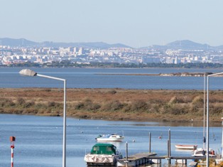 Na confluência do Rio da Moita com a Caldeira da Moita Surgiram muitos exemplares de aves mortas