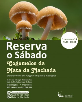 BARREIRO - ‘RESERVA O SÁBADO’ Cogumelos da Mata da Machada