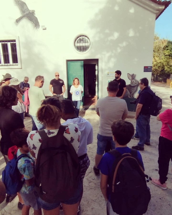 Barreiro - Centro de Educação Ambiental da Mata da Machada Dedica “Reserva o Sábado” de Outubro à viagem pel O Fantástico Mundo das Formigas