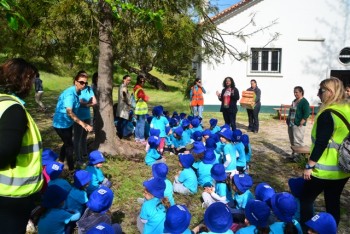 Barreiro - Cerca de 100 crianças em atividades ao ar livre Na reabertura do Centro de Educação Ambiental da Mata da Machada . Pronto para receber alunos do Barreiro e Moita