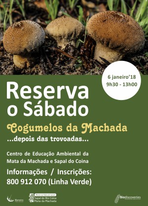 Barreiro - «Cogumelos da Mata» Reserva o Sábado, a 6 de janeiro