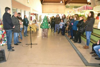 Barreiro - Escola Básica nº 2 do Lavradio vence Concurso «Árvores de Natal Ecológicas» 2016 EB/JI Telha Nova I e EB/JI Fidalguinhos, 2ª e 3ª