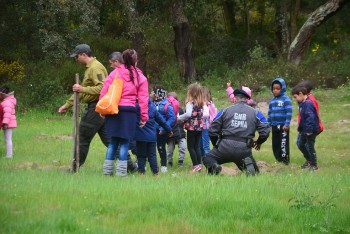 Escolas da Cidade Sol, Barreiro e Quinta Nova da Telha Cerca de 150 alunos participaram no Dia da Árvore e da Floresta