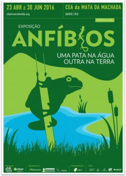 Barreiro - «Anfíbios: Uma pata na água, outra na terra» Exposição que etsá pela primeira vez nesta área geográfica