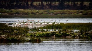 Turismo de Natureza em Setúbal Primeira edição do FlaminGO Fest