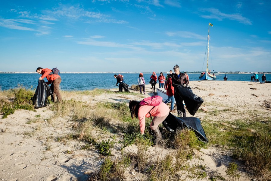 Na Ilha do Rato - Barreiro «Tejo Convida» promoveu iniciativa «Ilha Limpa 2018» . Participação de mais de 60 pessoa