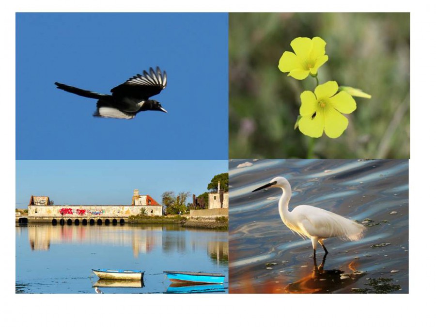 Barreiro - Plataforma Cidadã Braamcamp é de Todos Seminário «AS ALTERAÇÕES CLIMÁTICAS E AS IMPLICAÇÕES PARA O ORDENAMENTO DO TERRITÓRIO»