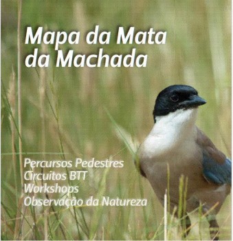 Barreiro - Novo mapa da Mata da Machada já disponível Identificados os percursos pedestres, de BTT, e outros pontos de interesse