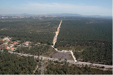 Seixal - Integrar jovens com idades entre 18 aos 30 anos em atividades de defesa da floresta