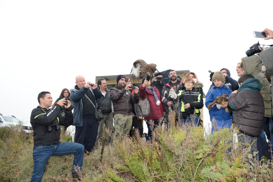 Valorização dos Ecossistemas do Montijo Inaugura Posto de Observação de Aves