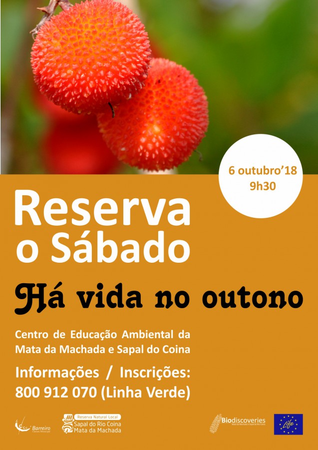 Barreiro - No Centro de Educação Ambiental da Mata da Machada e Sapal do Coina «Há Vida no Outono» em «Reserva o Sábado»