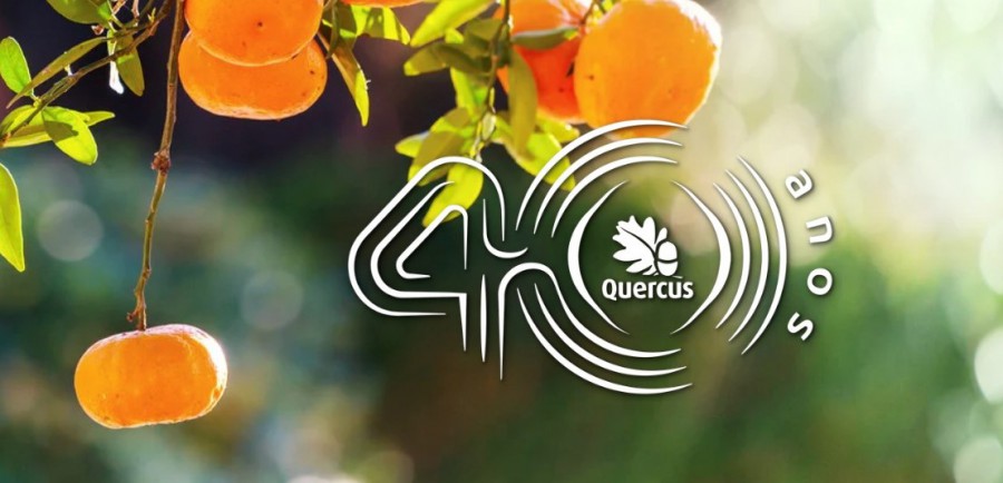 Projeto de citrinos em Alcácer do Sal Quercus vai apresentar queixa formal à Comissão Europeia