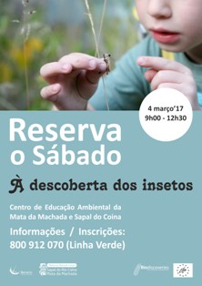 Barreiro - À Descoberta dos Insetos «Reserva o Sábado» no Centro de Educação Ambiental a 4 de março