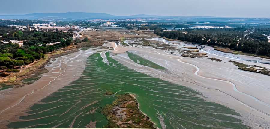 BARREIRO - “Reserva o Sábado” está de volta no primeiro sábado de setembro Viagem no Sapal do Rio Coina