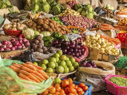 Setúbal - Aumentar a agricultura biológica e informar o consumidor Conferência «Produzir e Consumir Agricultura Biológica»