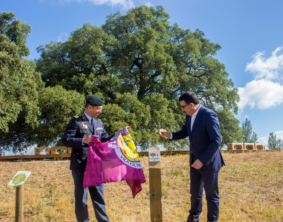 Palmela - A «Árvore do Assobio» em Águas de Moura Sobreiro Grande homenageado pela GNR
