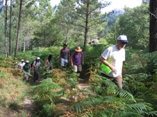 Festa da Europa no Gerês Turismo de Natureza tem potencial único para criação de riqueza e dinamização social