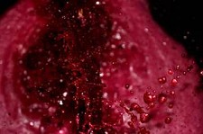 Vencedor do Concurso Europeu de Fotografia e Vídeo «Regresso ao Futuro ? A Agricultura» é português