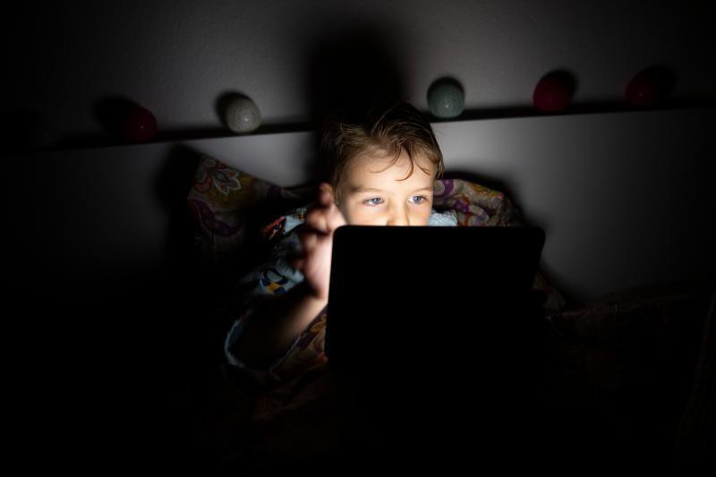 Para Proteção dos menores na Internet Relatório do Comité Europeu dos Serviços Digitais destaca importância do Regulamento