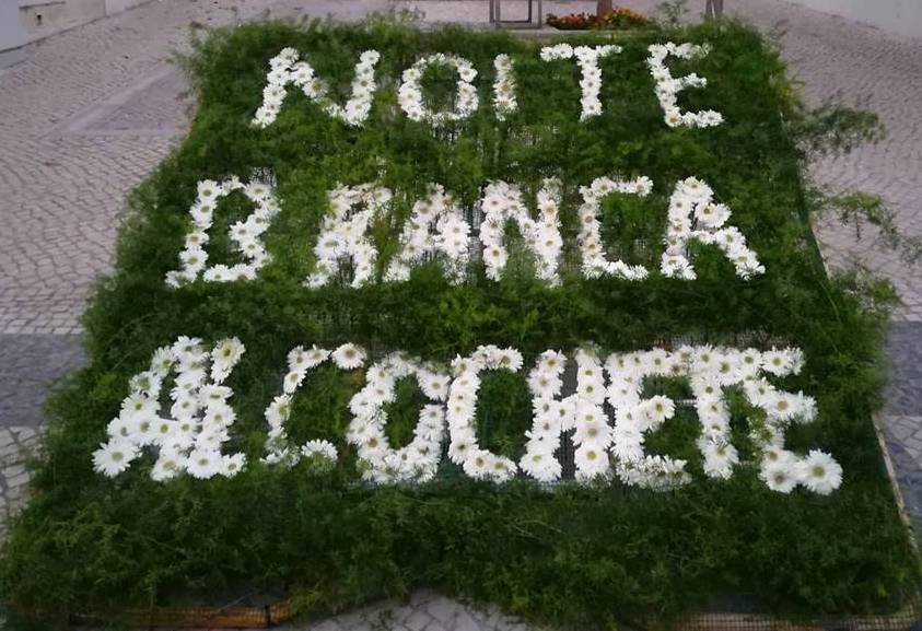 Alcochete cobre-se de branco na 1.ª edição da Noite Branca Participação de cinquenta estabelecimentos comerciais do Núcleo Antigo da Vila.