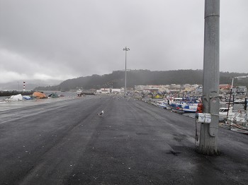 APSS melhora pavimento do molhe da Doca dos Pescadores do Porto de Setúbal