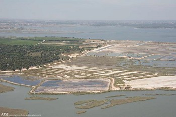 Porto de Setúbal disponibiliza áreas para aquicultura no Estuário do Sado