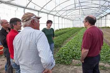 Atividades agrícolas no concelho da Moita têm futuro assegurado Projeto Prove é caso de sucesso