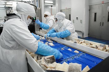 Santiago do Cacém é o 4.º Concelho do País com maior crescimento em exportações nos últimos 10 anos