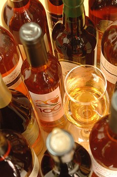 Vinhos da Península de Setúbal querem intensificar relações comerciais com a China