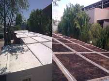 Sunergetic Barreiro instala Na EMEF - Amadora 1º Jardim de cobertura ultraleve em Portugal