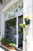 IV Concurso de Montras - Setúbal Florista “Onda de Flores” foi a vencedora
