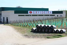 ADEGA ERVIDEIRA Mais Amiga do Ambiente