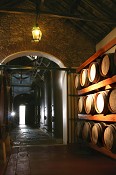 Melhor Moscatel do Mundo é de Quinta do Anjo em Palmela Venâncio da Costa Lima vence concurso “Muscats du Monde”